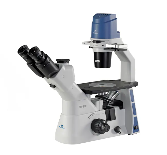 EXI-310-PH.jpg-650 Microscopio trinocular invertido Accu-Scope ® - Imagen 1
